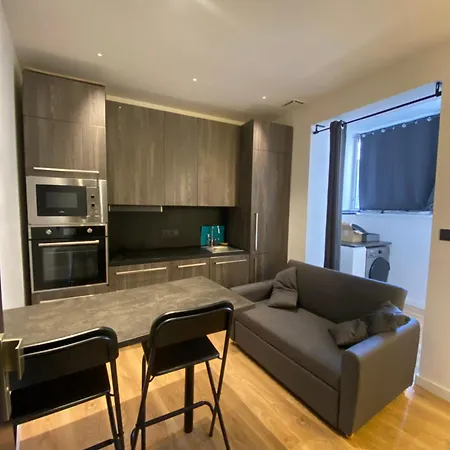 Magnifique En Hypercentre A 2min De Place Grenette Grenoble