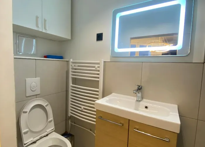 Magnifique En Hypercentre A 2min De Place Grenette