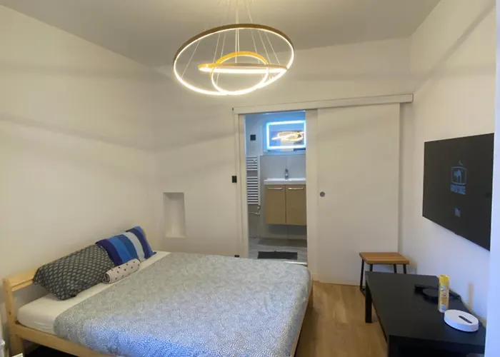 Magnifique En Hypercentre A 2min De Place Grenette Grenoble