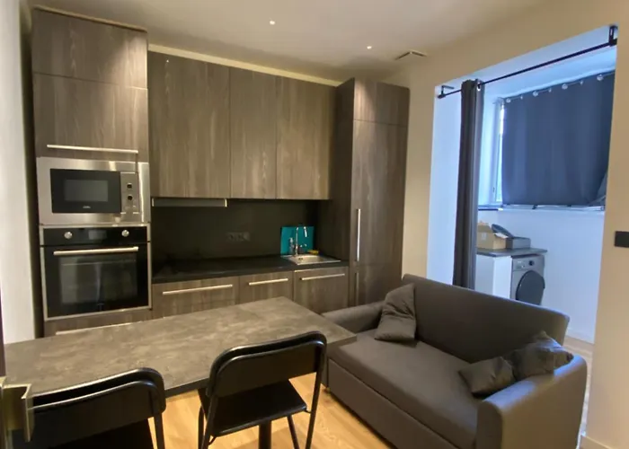 Magnifique En Hypercentre A 2min De Place Grenette Grenoble